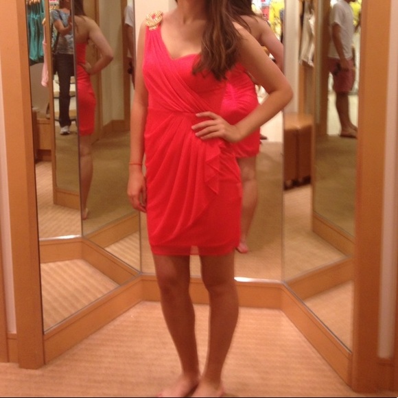 Cache Party Dress - Picture 4 of 5